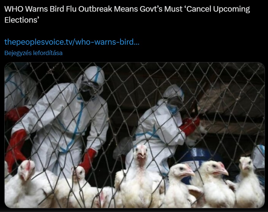 who bird flu.jpg